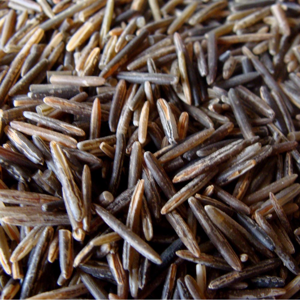 CHEF'S RESERVE WILD RICE – BINESHII WILD RICE