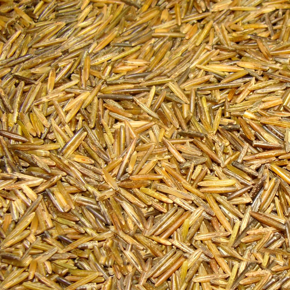 RAW EATERS WILD RICE – BINESHII WILD RICE