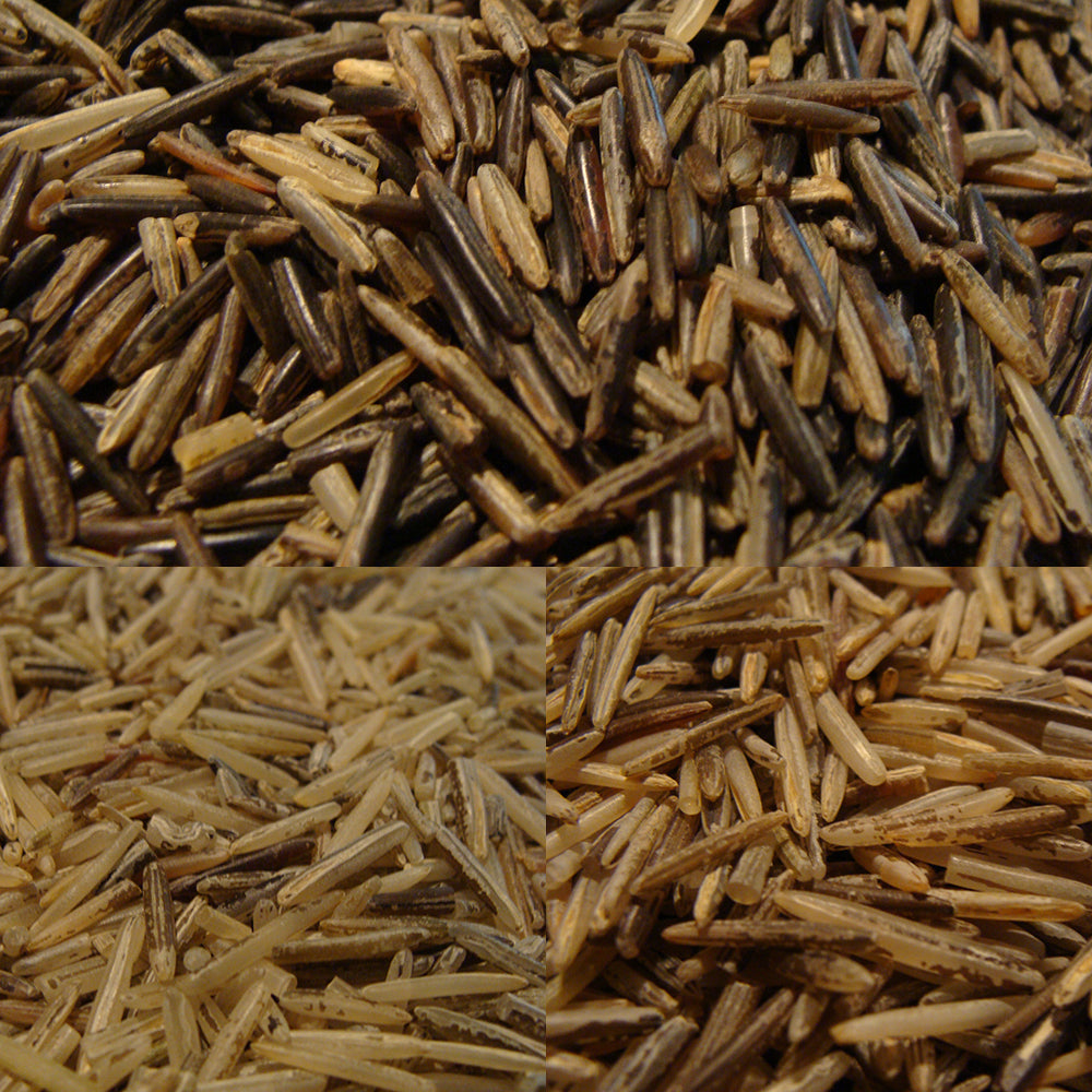PRIME WILD RICE BUNDLE – BINESHII WILD RICE