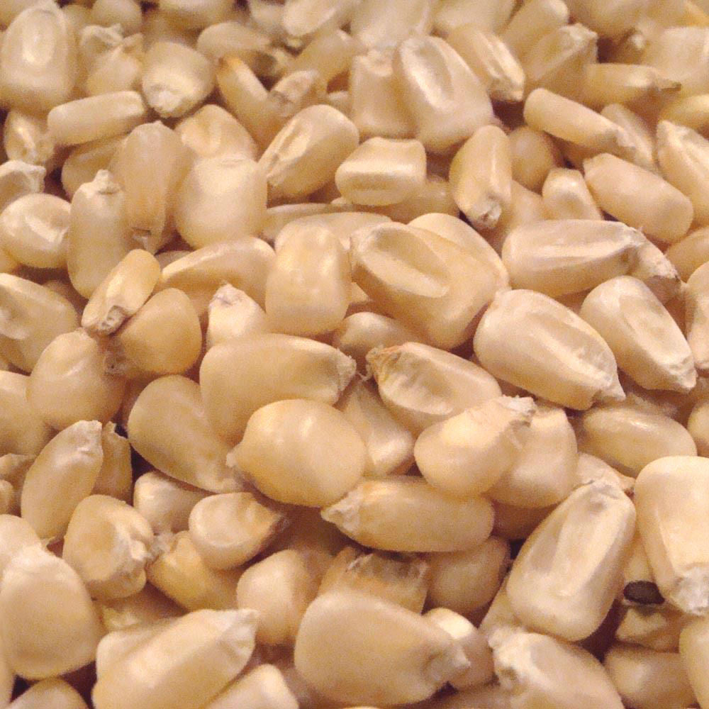 WHITE CORN HOMINY/PASOLE – BINESHII WILD RICE